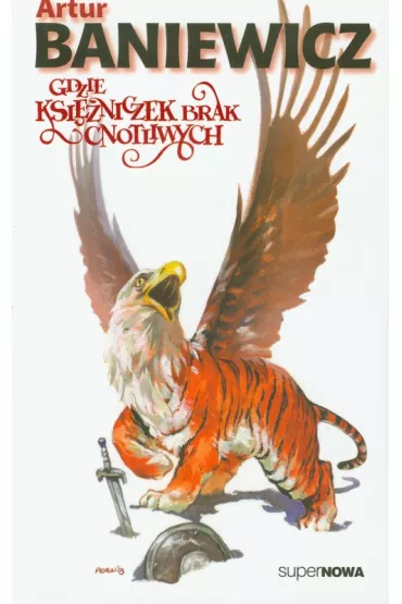 Gdzie księżniczek brak cnotliwych. Saga o czarokrążcy. Tom 3