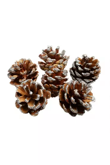 Ozdoba świąteczna szyszki z brokatem