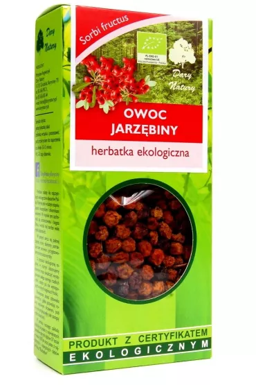 Herbatka owoc jarzębiny