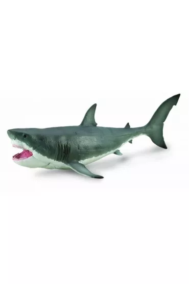 Megalodon