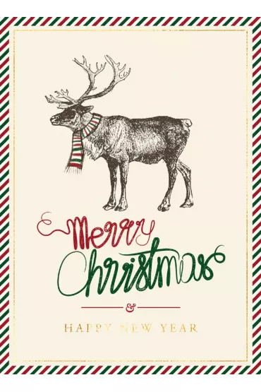 Karnet B6 BN Renifer