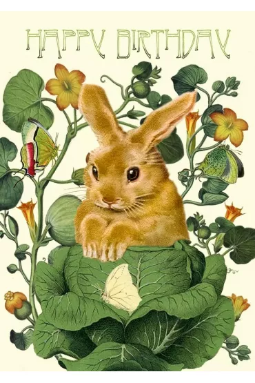 Karnet B6 z kopertą Urodziny Królik w kapuście