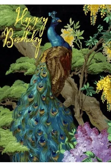 Karnet B6 z kopertą Urodziny Paw