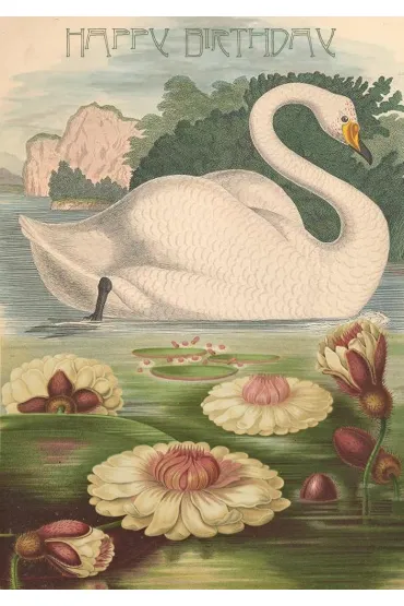 Karnet B6 z kopertą Urodziny Łabędź