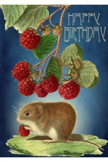 Karnet B6 z kopertą Urodziny Myszka