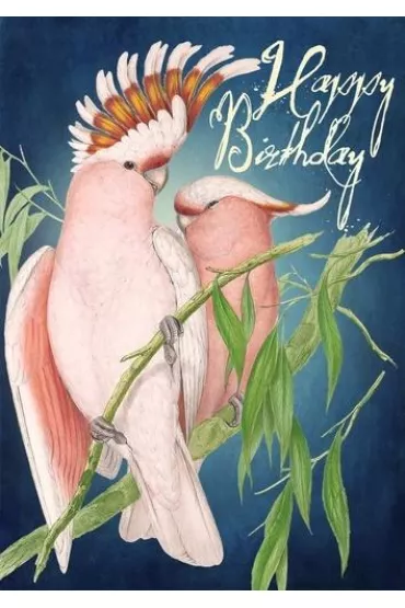 Karnet B6 z kopertą Urodziny Nimfy