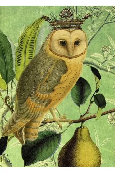 Karnet B6 z kopertą Sowa i gruszka