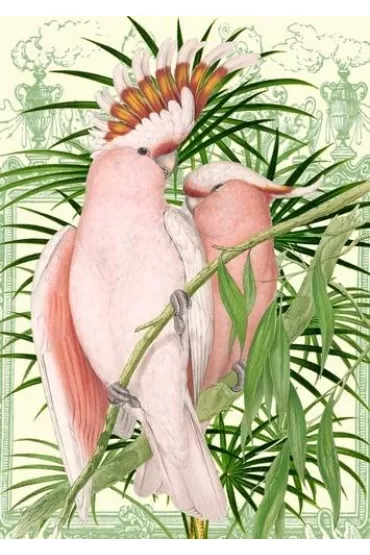 Karnet B6 z kopertą Różowe papugi