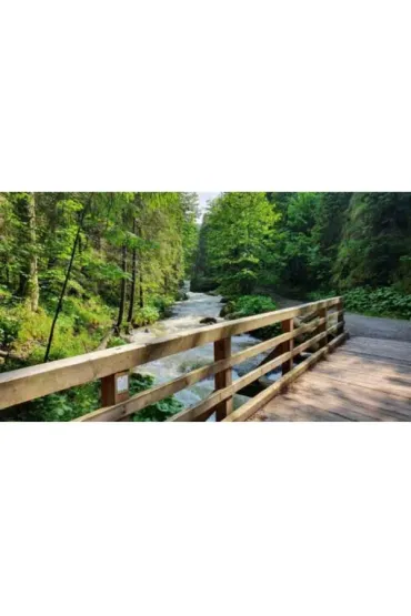Diamentowa mozaika - Las pomost drewniany nad potokiem 1006519