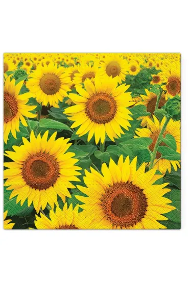 Serwertki Pole słoneczników