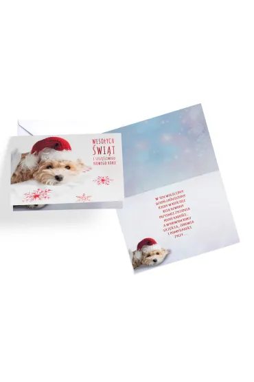 Karnet Boże Narodzenie PP-2107