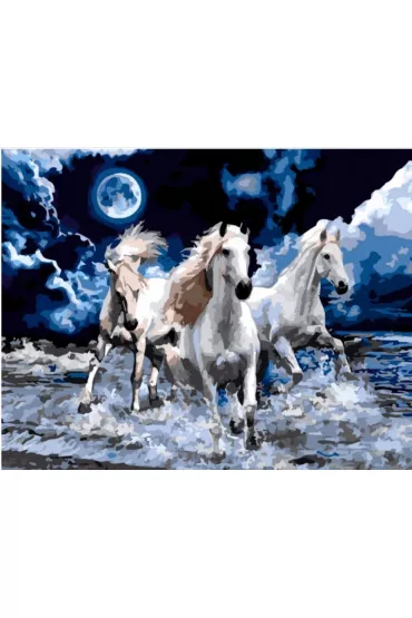 Diamentowa mozaika - Konie białe trzy galopujące w morzu 1007744