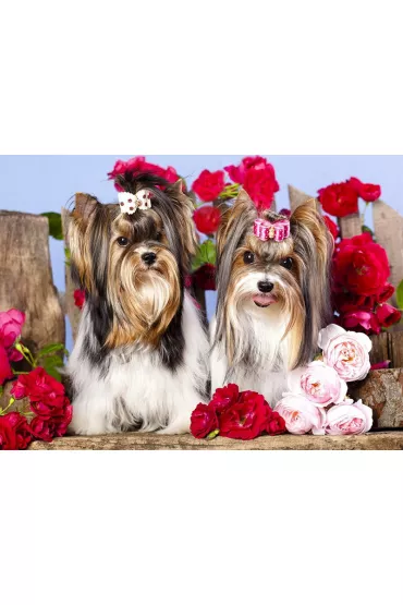 Diamentowa mozaika - Pieski