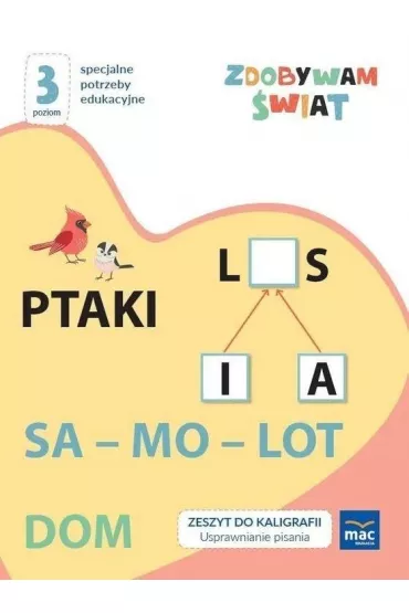 Zdobywam świat. Zeszyt do kaligrafii. Usprawnianie pisania. Poziom 3