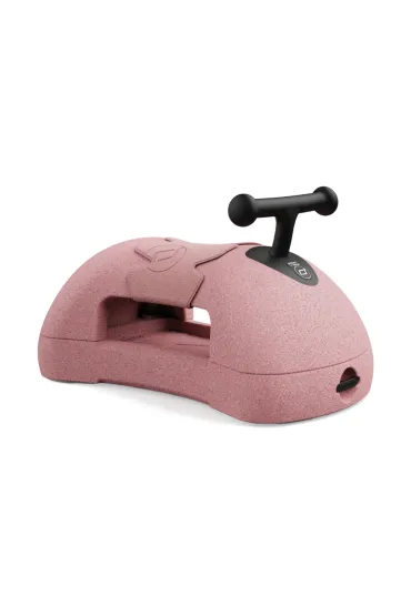 My First Ewolucyjny jeździk pchacz 3w1 6 m+ Rose
