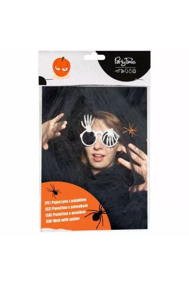 Czarna pajęczyna z pająkiem