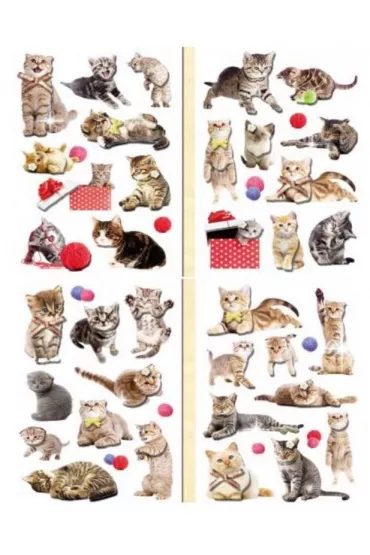 Naklejki 3D koty mix