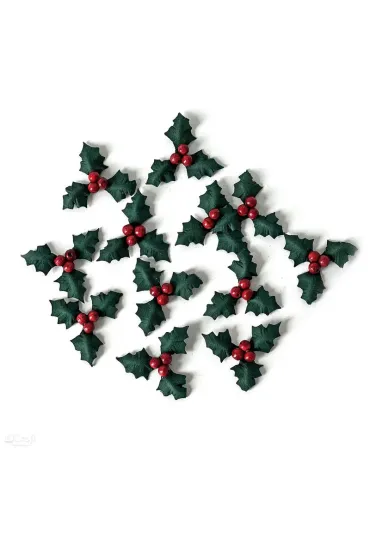 Ostrokrzew papierowy