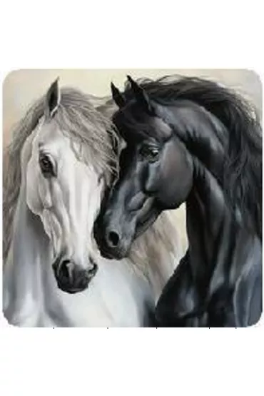 Diamentowa mozaika - Konie dwa biały i czarny tulące się 2000116