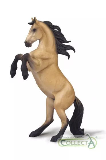 Klacz Warlander maści buckskin