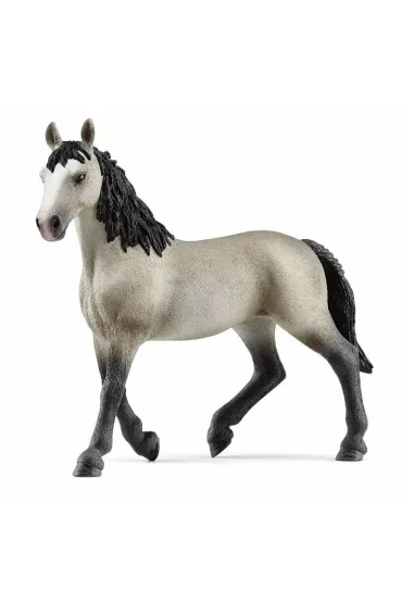 Klacz Rasy Cheval De Selle Francais SLH13955