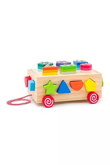 SORTER DREW WOZEK DO CIAG AKC 23X18X13 PUD