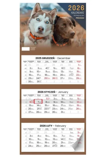 Kalendarz 2026 dwumiesięczny Lux