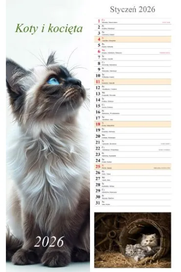 Kalendarz ścienny 2026 pasek Koty i kocięta