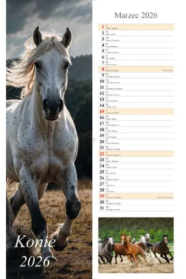 Kalendarz ścienny 2026 pasek Konie