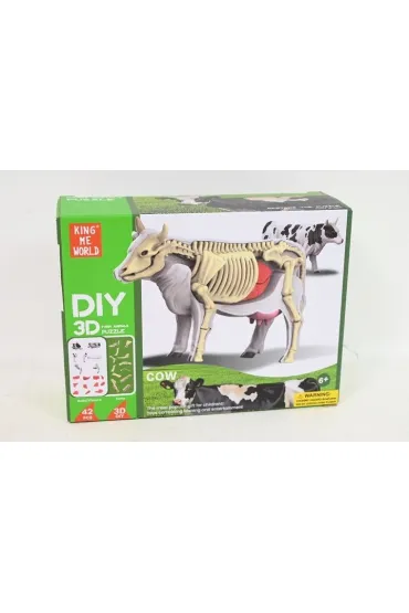 Model anatomiczny - Krowa łaciata