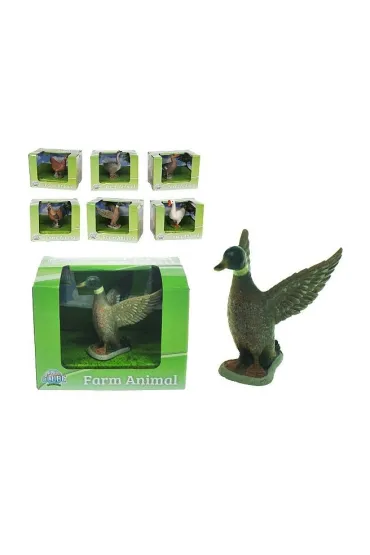 Zwierzęta domowe - kaczka, kurczak, gęś - mix