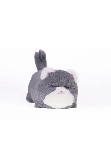 Interaktywny kot szary