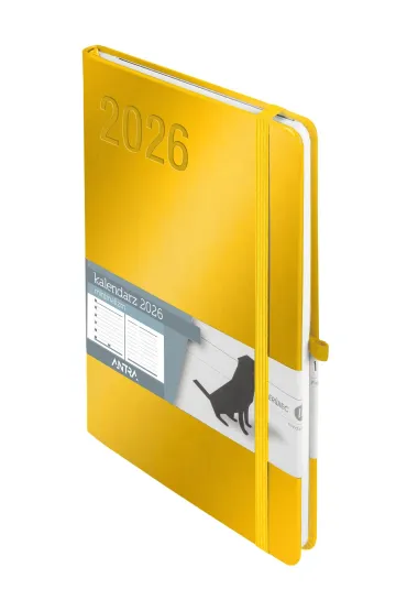 Kalendarz 2026 A5 Minimalizm złoty TNS