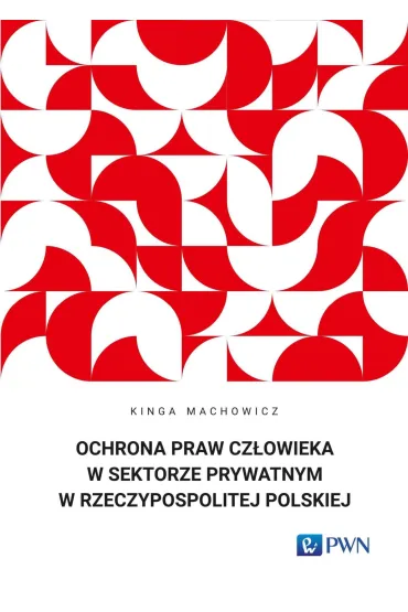 Ochrona praw człowieka w sektorze prywatnym...
