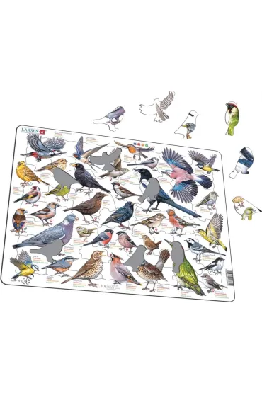 Układanka Garden Birds Ptaki ogrodowe polne Maxi