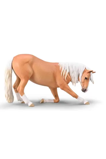 Klacz lusitiano kłaniająca się maści izabelowatej