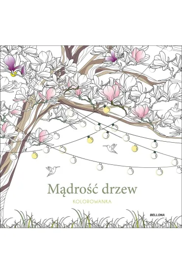 Mądrość drzew (kolorowanka)