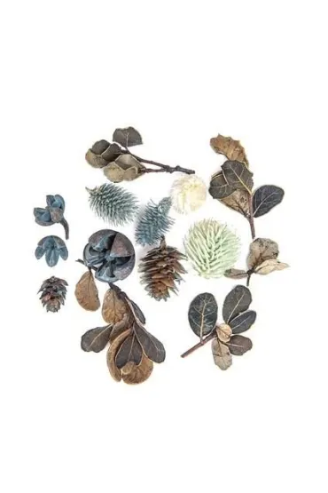 Suszone owoce i liście dekoracyjne 14 szt