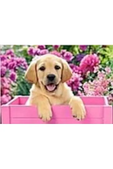 Mozaika diamentowa - lablador