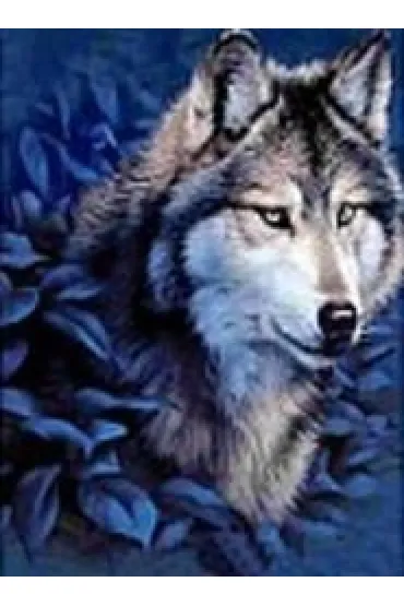 Mozaika diamentowa - wilk