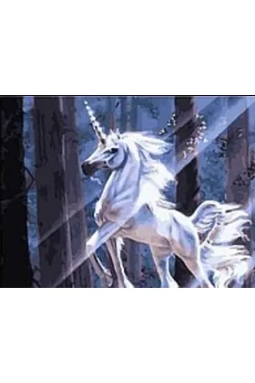 Mozaika diamentowa - Jednorożec
