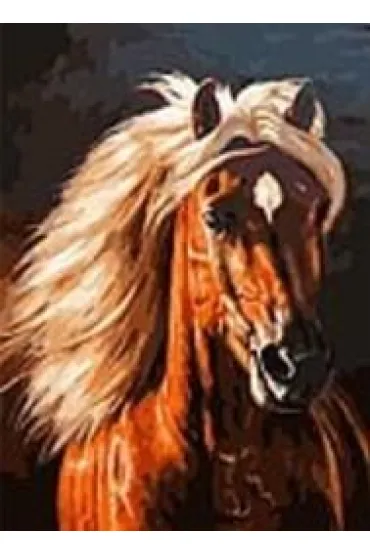 Mozaika diamentowa - koń