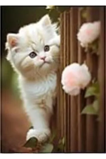 Mozaika diamentowa - kotek