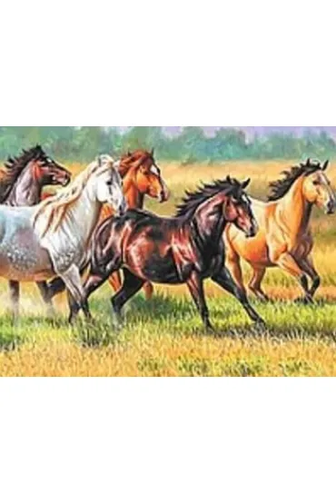 Mozaika diamentowa - kobnie