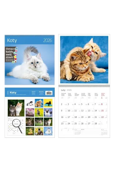 Kalendarz 2026 ścienny 30x30 Koty HELMA