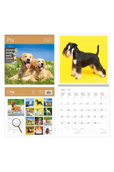 Kalendarz 2026 ścienny 30x30 Psy HELMA