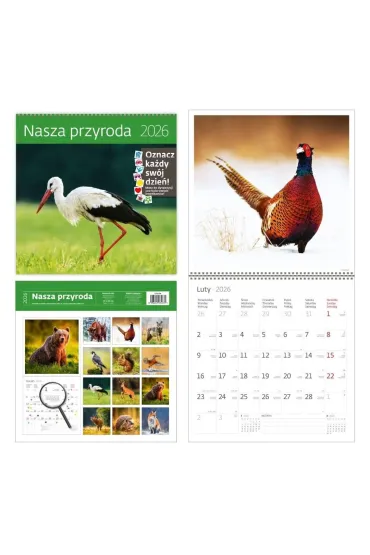 Kalendarz 2026 ścienny 30x30 Nasza przyroda HELMA