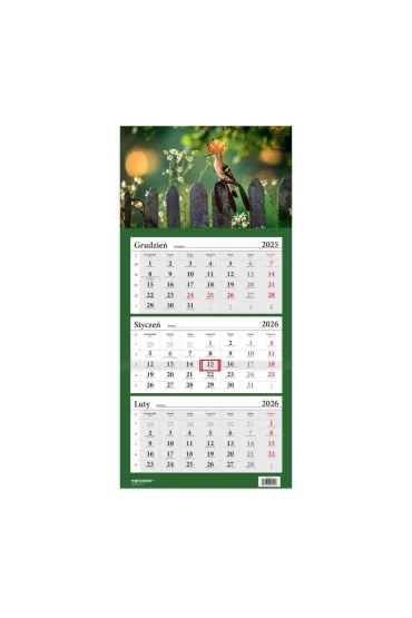 Kalendarz 2026 trójdzielny Ptak dudek HELMA