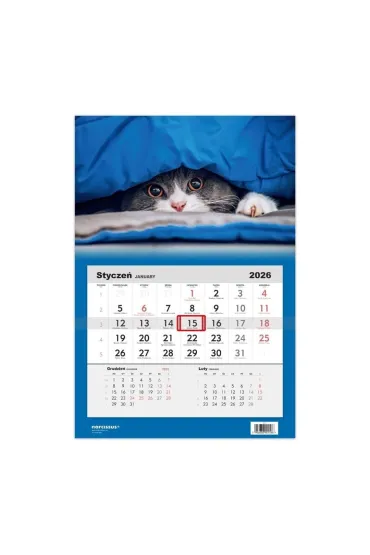 Kalendarz 2026 jednodzielny Kot HELMA