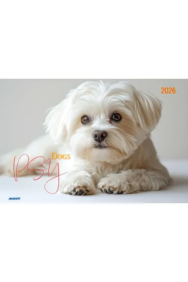 Kalendarz 2026 ścienny albumowy 28,5x20cm Psy
